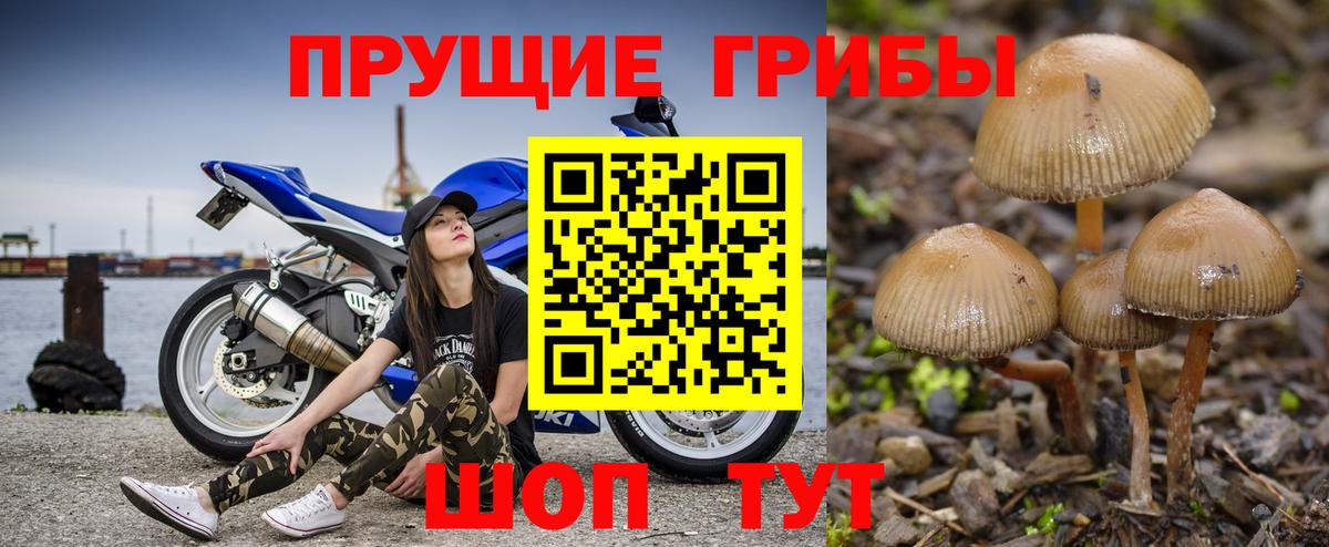 Павлово  ГАШИШ  Амфетамин   Вход с VPN  Лсд 25  МЕФ кристаллы  Гашиш  Кокаин 